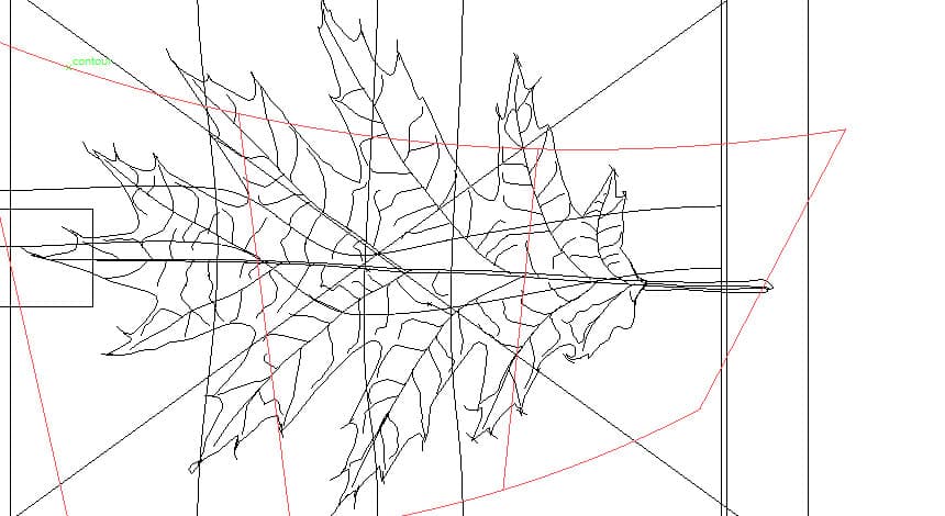 Feuille-vectorielle-Photo-realiste-02
