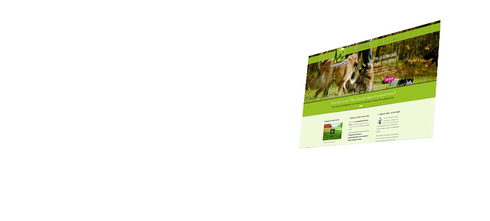Site WordPress personnalisé