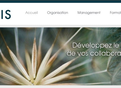 Creation-site-wordpress-metis-developpement-01