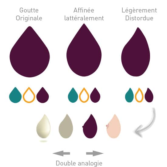 Travail sur la forme de la goutte logo