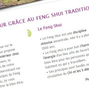 Creation de site WordPress effet feng-shui