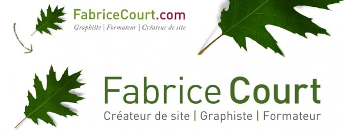 Nouveau logo Fabrice Court créateur de site wordpress