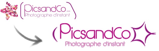 logo picsandco