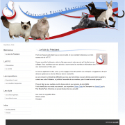 Ancienne interface Joomla de la FFF