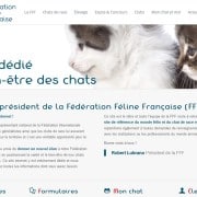 création site wordpress fff