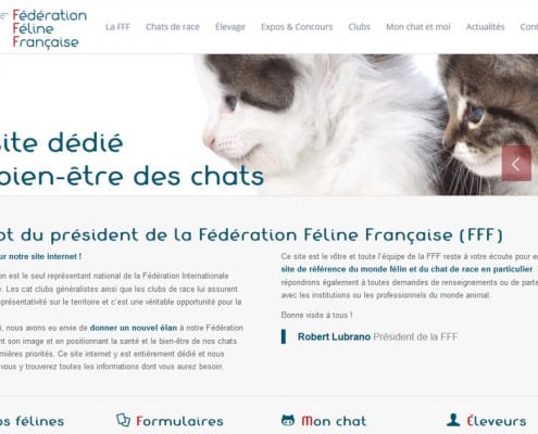 création site wordpress fff