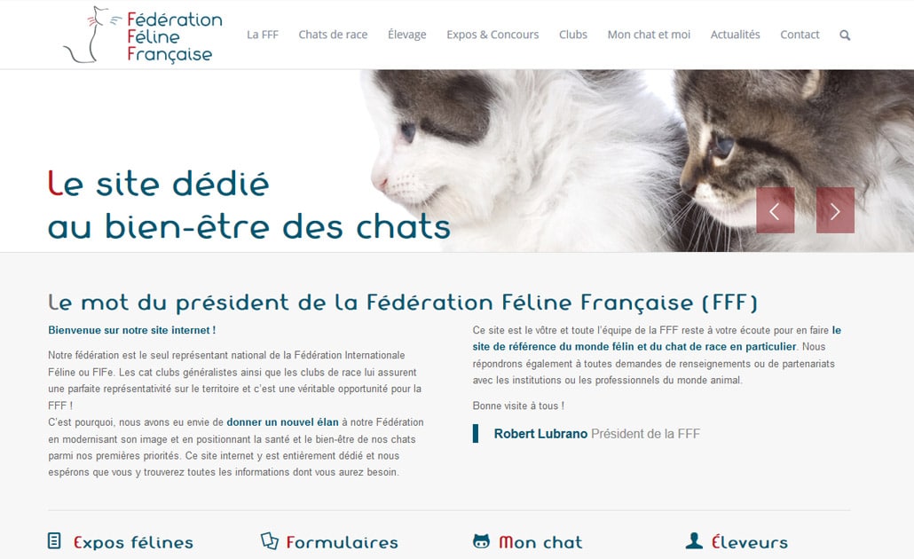 création site wordpress fff