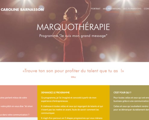 Création de site WordPress pour les professionnels