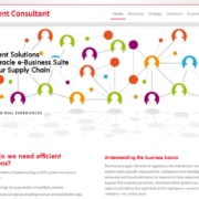 Création site WordPress consultant-Oracle