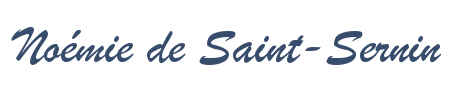 Ancien logo Noémie de saint sernin
