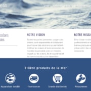 ethic ocean création de site WordPress