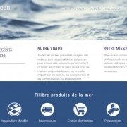 ethic ocean création de site WordPress