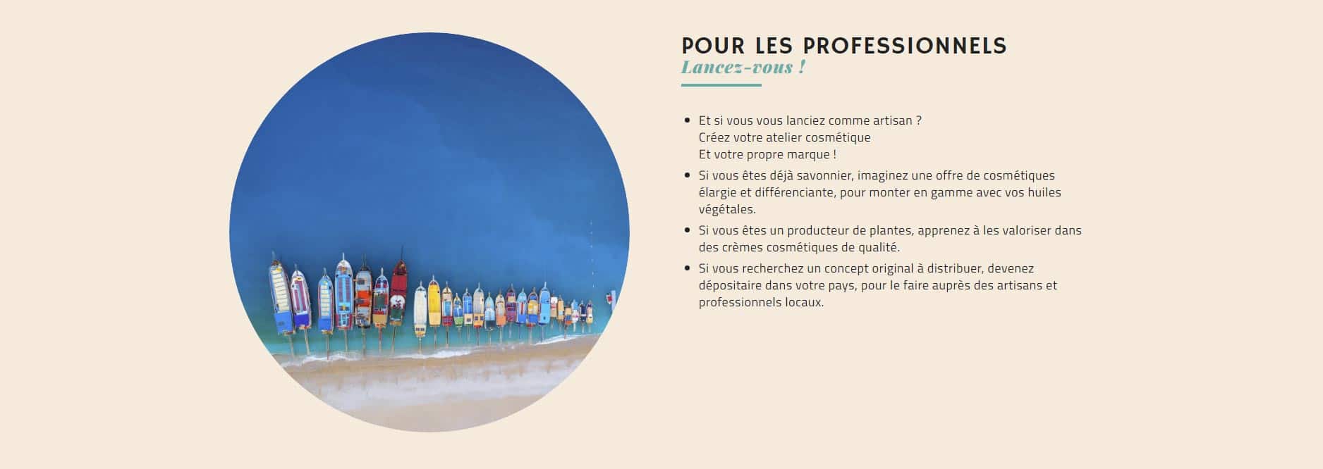 Pour les professionnels