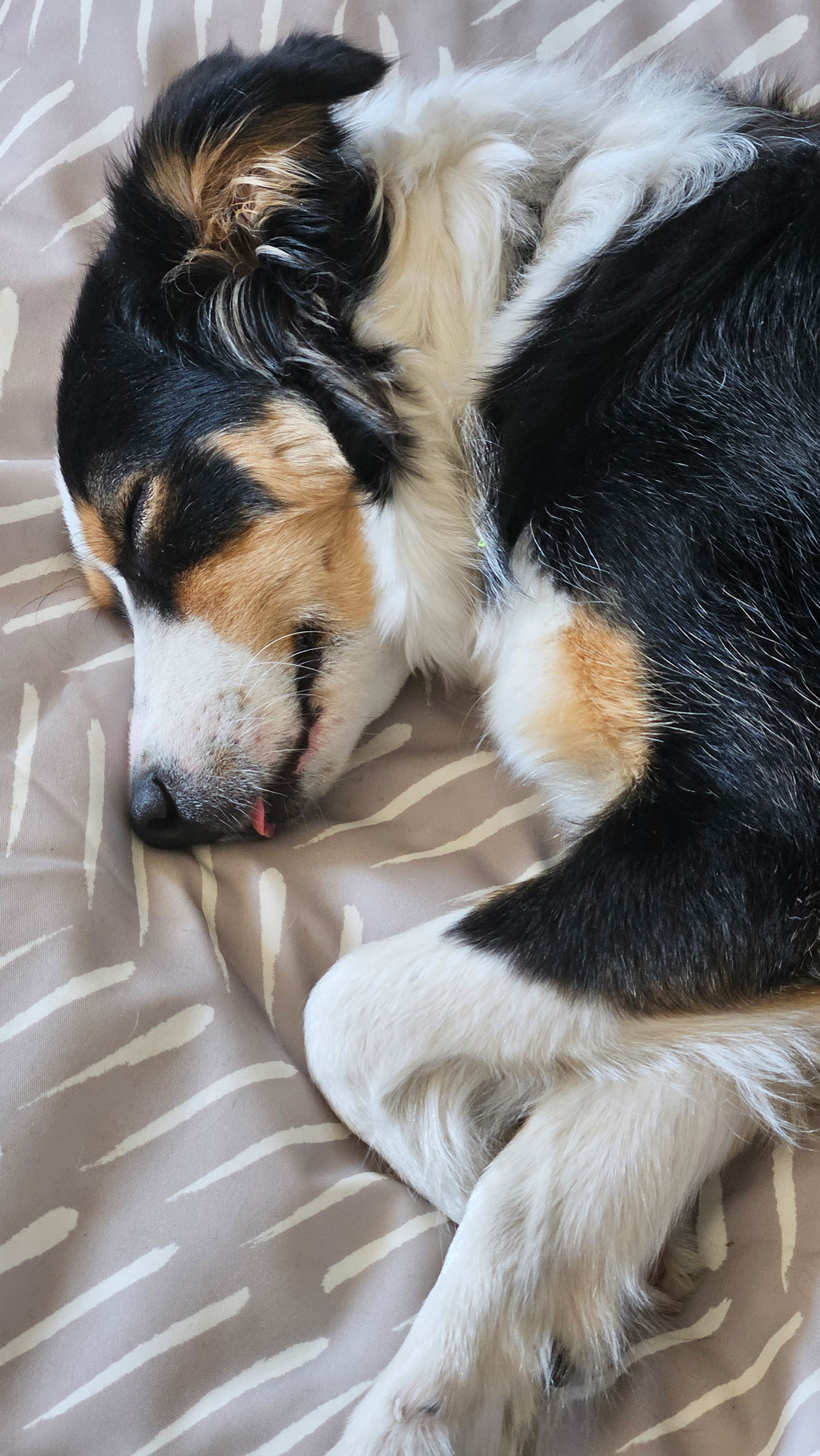 Athena est fatiguée