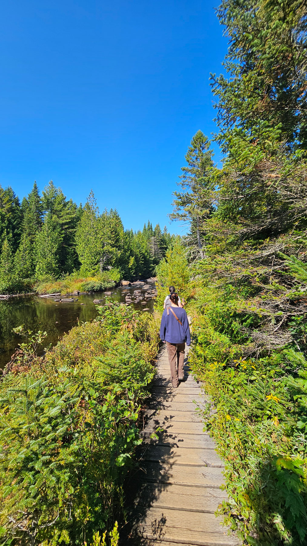 Parc de la mauricie. Absolument splendide. Une sensation que tout est paysagé alors que non