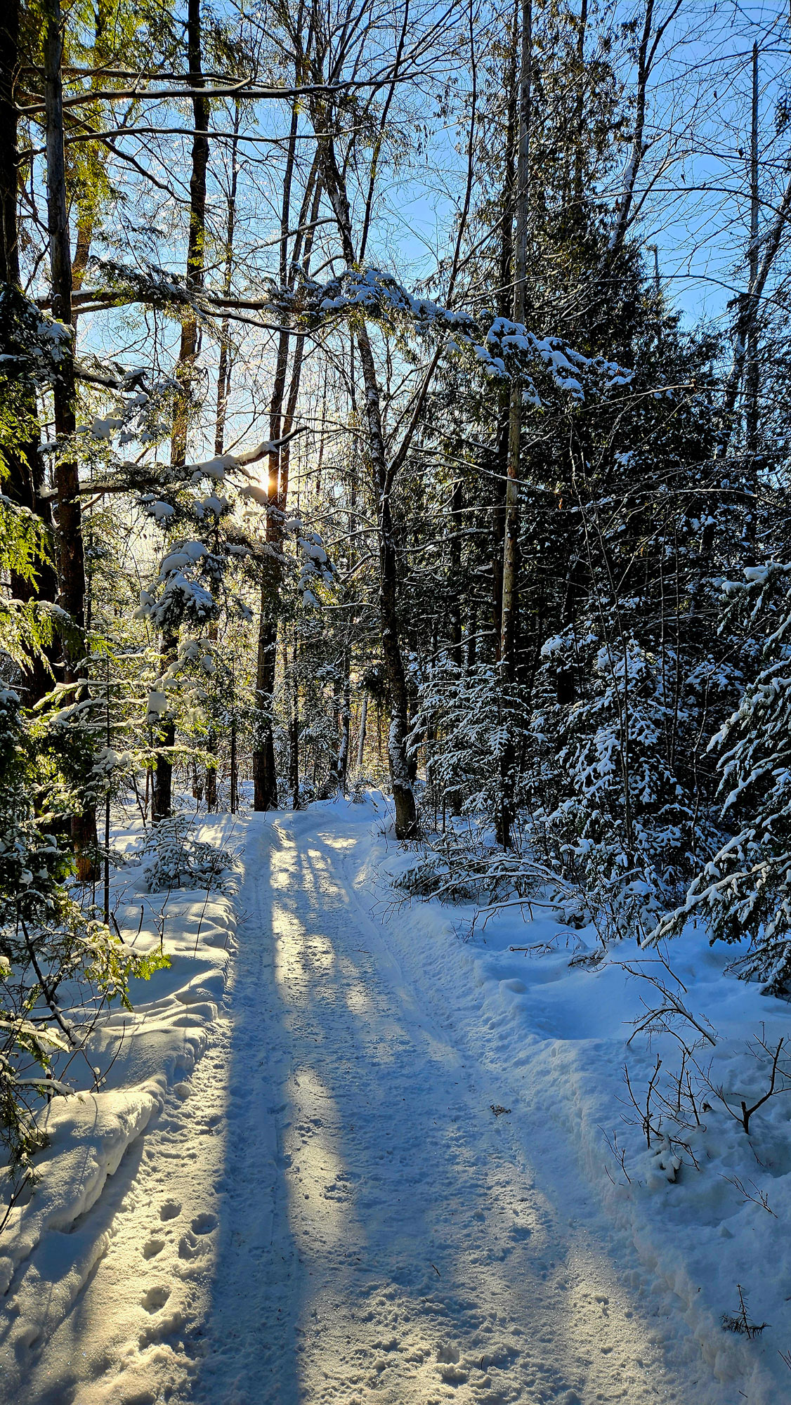 Soleil au plein coeur de l'hiver