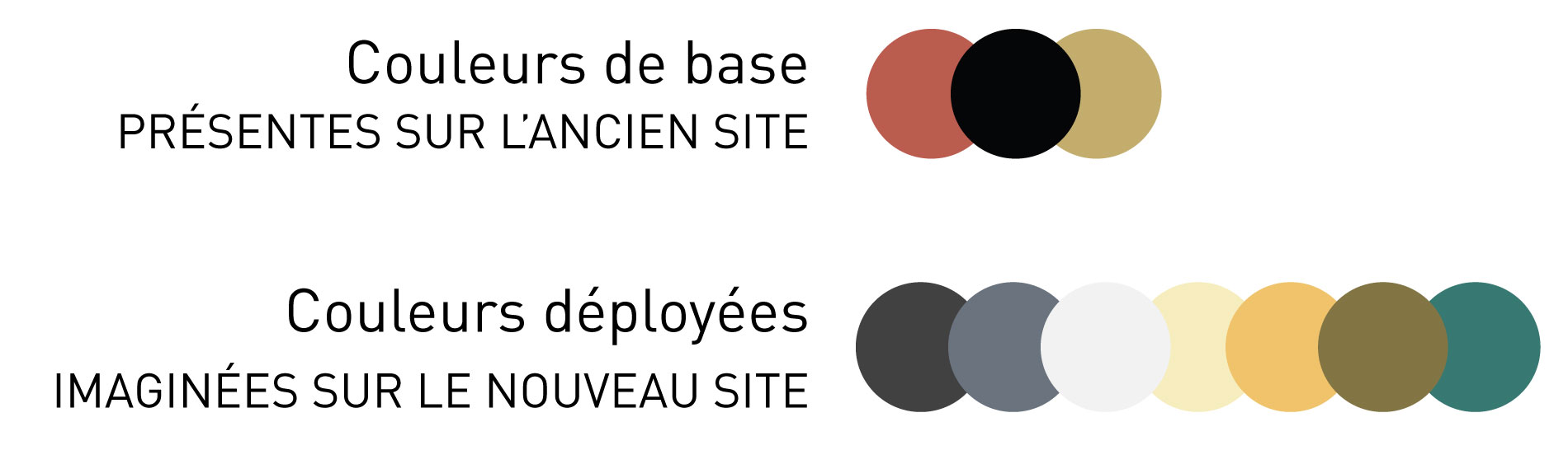 Couleurs sur le site terre anima Couleurs sur le site terre anima
