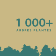 Terre Anima Nouvelles couleurs Terre Anima Nouvelles couleurs