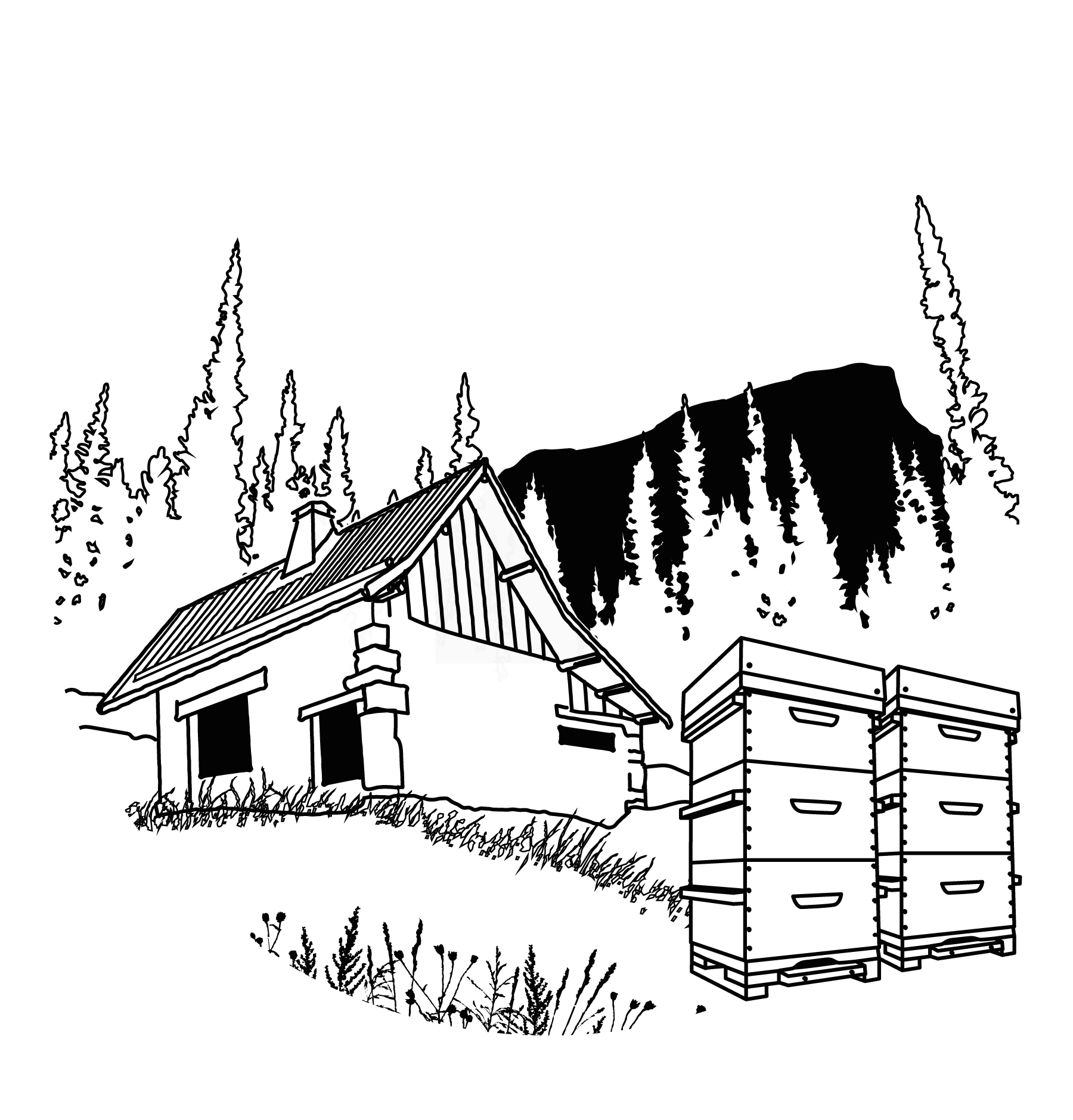 Esquisse prealable Esquisse prealable