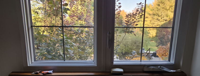 Bilan honnête après 2 ans en freelance français au Québec